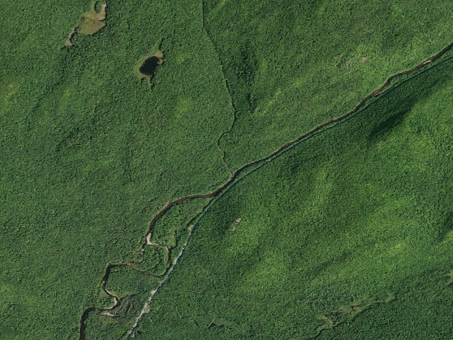 Aerial image of County Line Campsite (Siamese Ponds Wilderness)