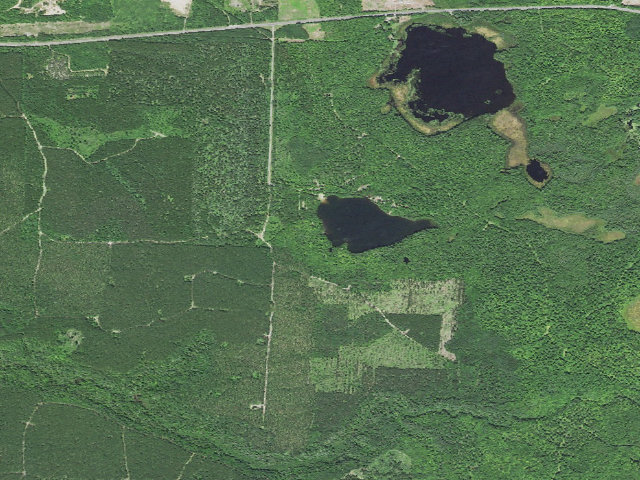Aerial image of Courtney Lake Camp