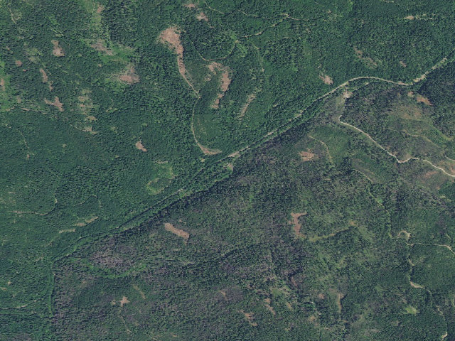 Aerial image of Cover Camp