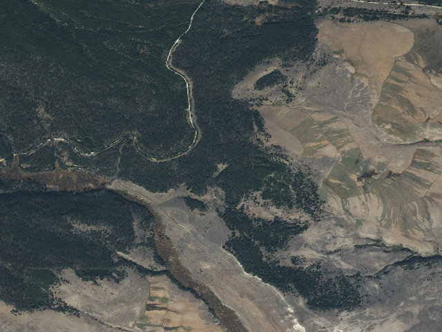 Aerial image of Cow Chase