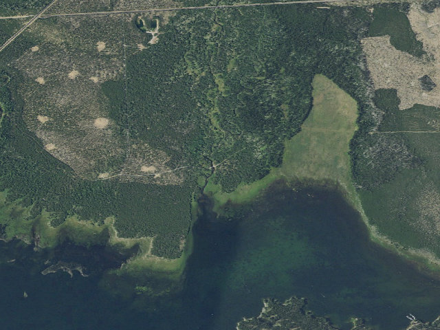 Aerial image of Cow Meadow
