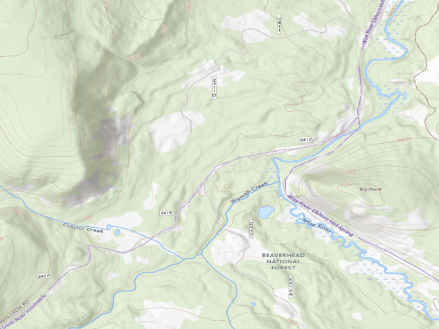 USGS topographic map of Cow Pie
