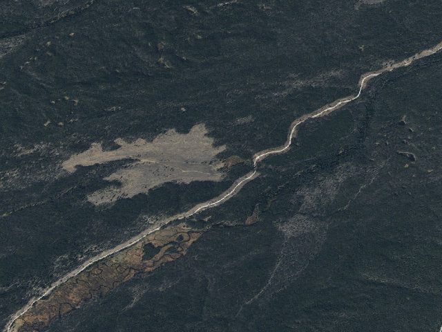 Aerial image of Cow Skull