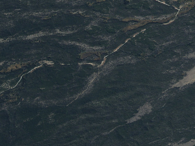 Aerial image of Cow Trails
