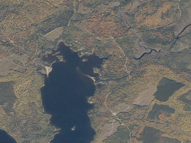 Aerial image of Cowan East (Moosehead Lake Shoreline Public Land)