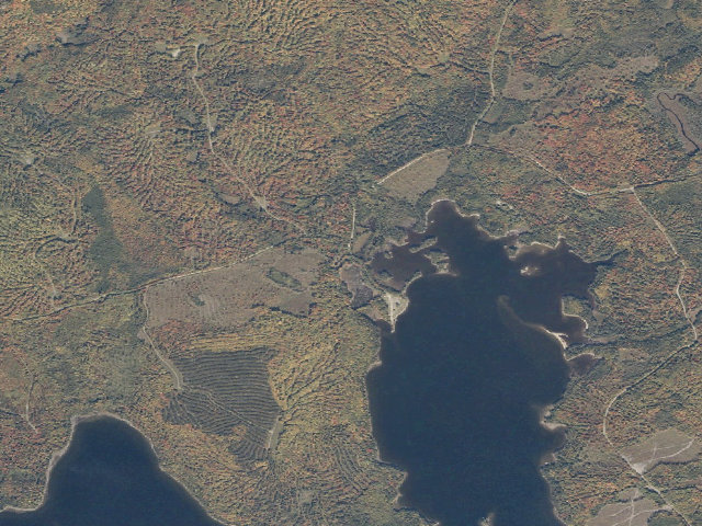 Aerial image of Cowan West (Moosehead Lake Shoreline Public Land)