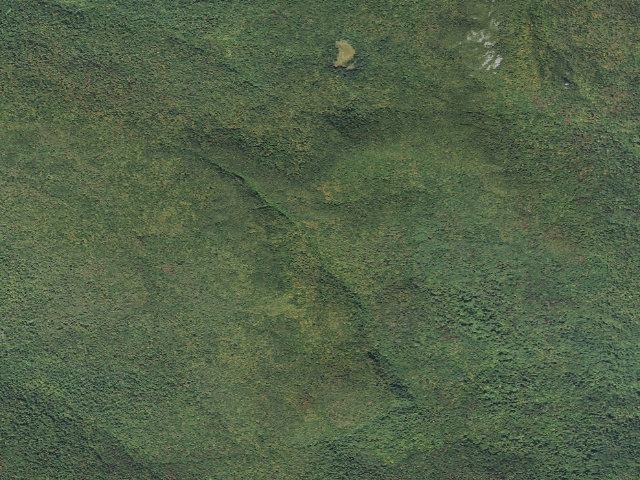 Aerial image of Cowie's Cove Shelter