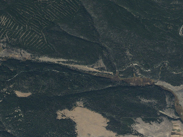 Aerial image of Cows And Weed Spraying