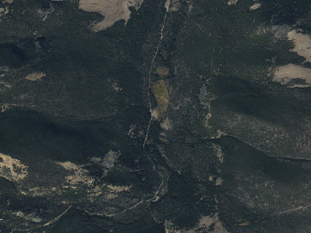 Aerial image of Cows