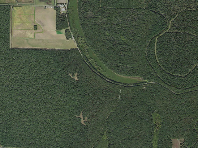 Aerial image of Cox Cypress Access Camping Area #1