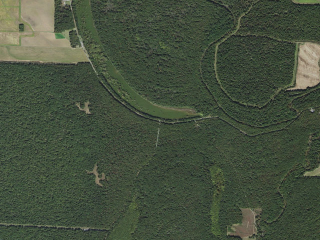 Aerial image of Cox Cypress Access Camping Area #3