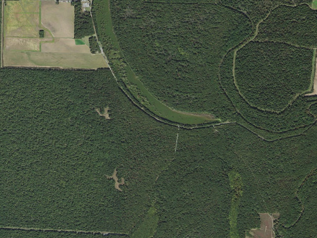 Aerial image of Cox Cypress Access Camping Area #5