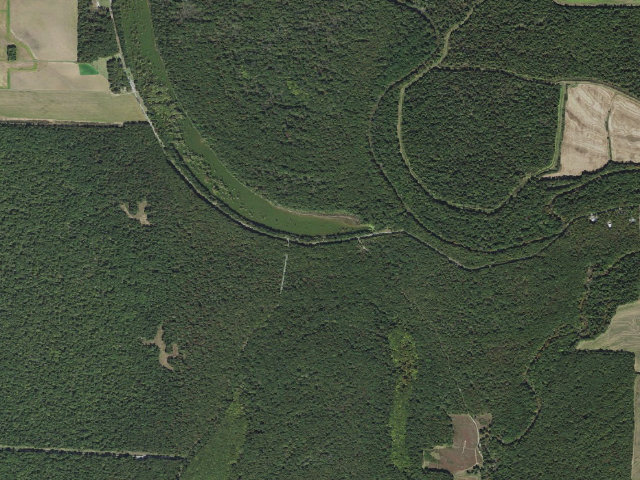 Aerial image of Cox Cypress Access Camping Area #7