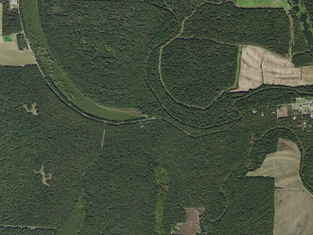 Aerial image of Cox Cypress Access Camping Area #8