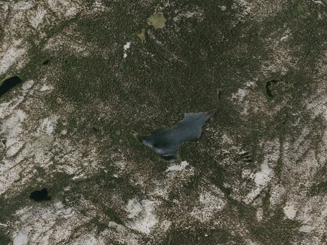 Aerial image of Coyote Camp 1