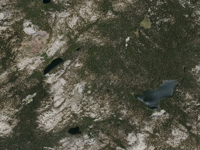 Aerial image of Coyote Camp 2