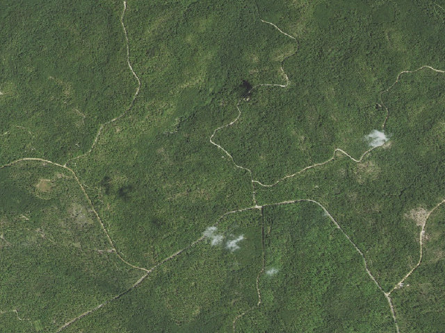 Aerial image of Coyote