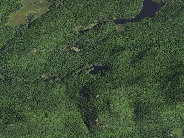 Aerial image of Crab Pond Primitive Tent Site (Pharaoh Lake Wilderness)