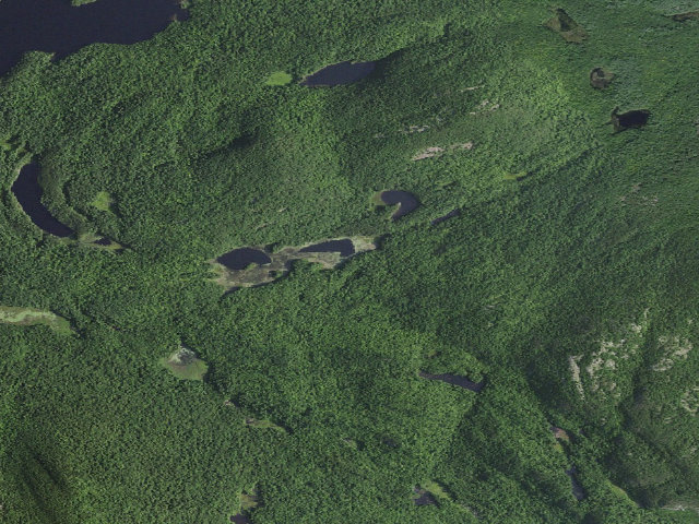 Aerial image of CRAB POND PRIMITVE TENT SITE (Pharaoh Lake Wilderness)
