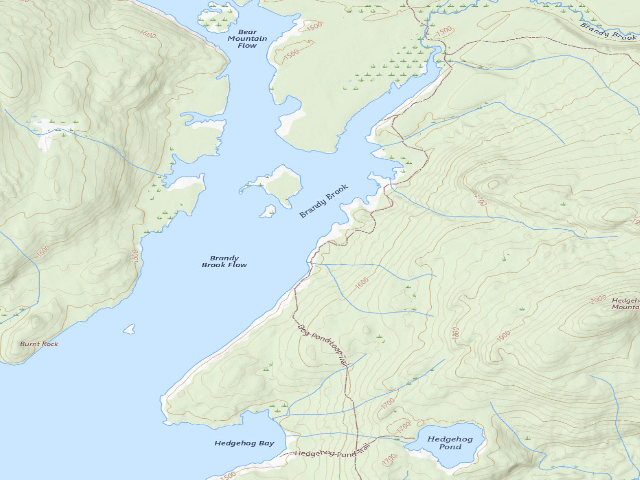 USGS topographic map of Cranberry Lake Campsite 10 (Cranberry Lake Wild Forest)
