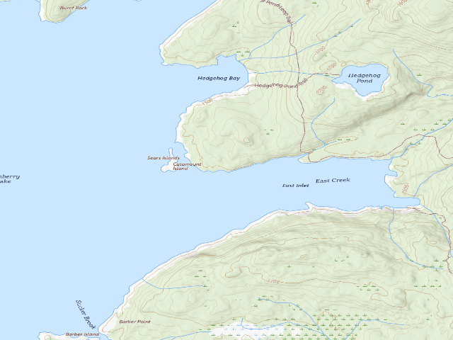 USGS topographic map of Cranberry Lake Campsite 12 (Cranberry Lake Wild Forest)