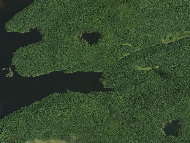 Aerial image of Cranberry Lake Campsite 14 (Cranberry Lake Wild Forest)