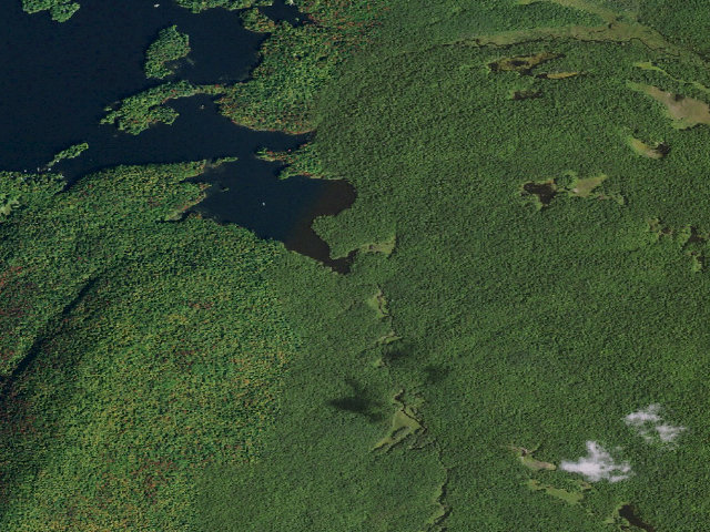 Aerial image of Cranberry Lake Campsite 17 (Five Ponds Wilderness)