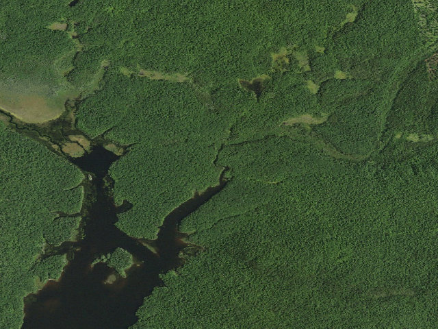 Aerial image of Cranberry Lake Campsite 6 B (Cranberry Lake Wild Forest)