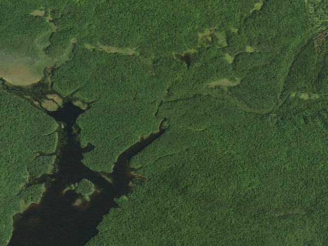Aerial image of Cranberry Lake Campsite 6 (Cranberry Lake Wild Forest)