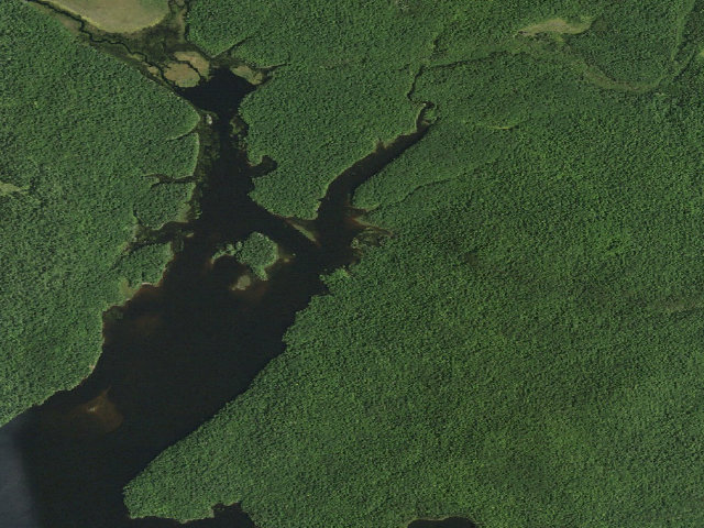 Aerial image of Cranberry Lake Campsite 8 (Cranberry Lake Wild Forest)