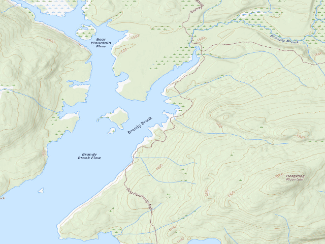 USGS topographic map of Cranberry Lake Campsite 8 (Cranberry Lake Wild Forest)