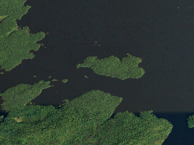Aerial image of Cranberry Lake Primitive Campsite 24 (Cranberry Lake Wild Forest)