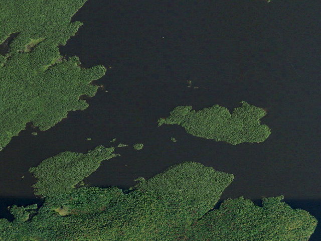 Aerial image of Cranberry Lake Primitive Campsite 25 (Cranberry Lake Wild Forest)