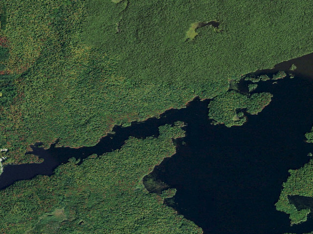 Aerial image of Cranberry Lake Primitive Campsite 42 (Cranberry Lake Wild Forest)