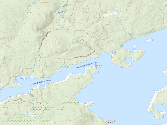 USGS topographic map of Cranberry Lake Primitive Campsite 42 (Cranberry Lake Wild Forest)