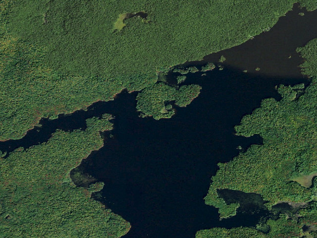 Aerial image of Cranberry Lake Primitive Campsite 43 (Cranberry Lake Wild Forest)