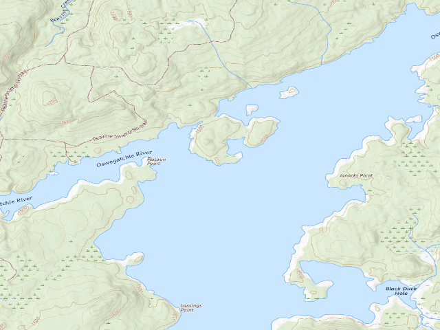 USGS topographic map of Cranberry Lake Primitive Campsite 43 (Cranberry Lake Wild Forest)