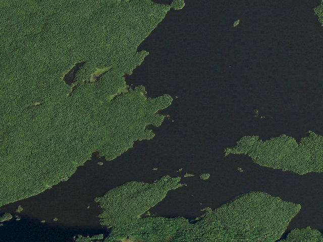 Aerial image of Cranberry Lake Primitive Campsite 44 (Cranberry Lake Wild Forest)