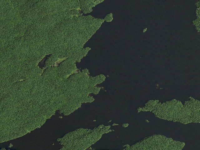 Aerial image of Cranberry Lake Primitive Campsite 45 (Cranberry Lake Wild Forest)