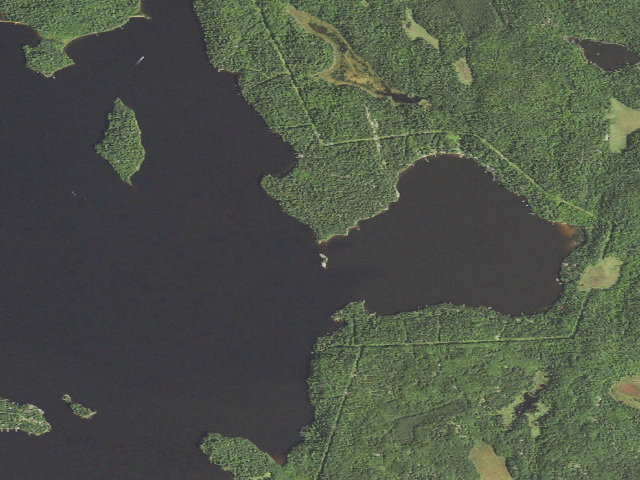 Aerial image of Crane Lake Site 1