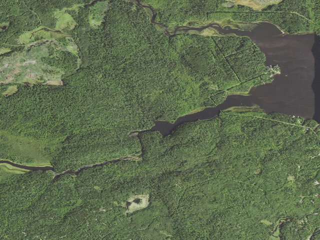 Aerial image of Crane Lake Site 4