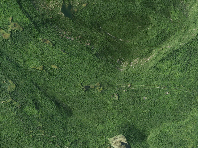 Aerial image of Crane Mountain Tentsite (Wilcox Lake Wild Forest)