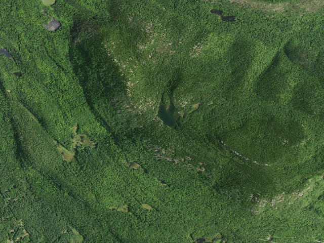 Aerial image of Crane Mt. Pond Campsite (Wilcox Lake Wild Forest)