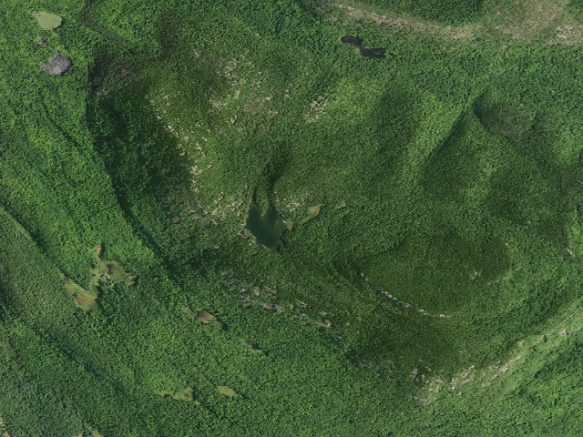Aerial image of Crane Mt. Pond Campsite (Wilcox Lake Wild Forest)