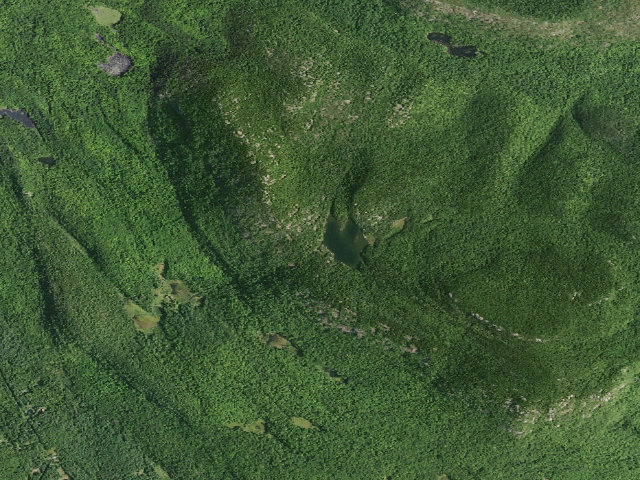 Aerial image of Crane Mt. Pond Campsite (Wilcox Lake Wild Forest)