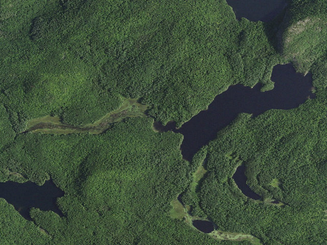 Aerial image of Crane Pond Campsite 1 (Pharaoh Lake Wilderness)