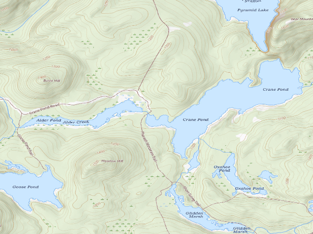USGS topographic map of Crane Pond Campsite 1 (Pharaoh Lake Wilderness)