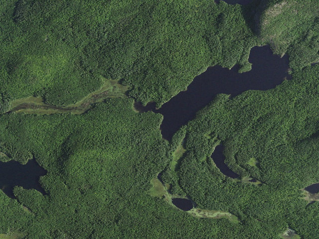 Aerial image of Crane Pond Campsite 10 (Pharaoh Lake Wilderness)