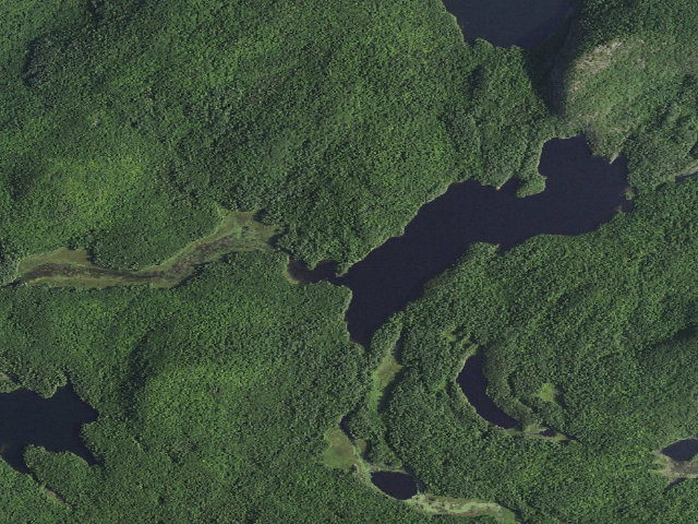 Aerial image of Crane Pond Campsite 2 (Pharaoh Lake Wilderness)
