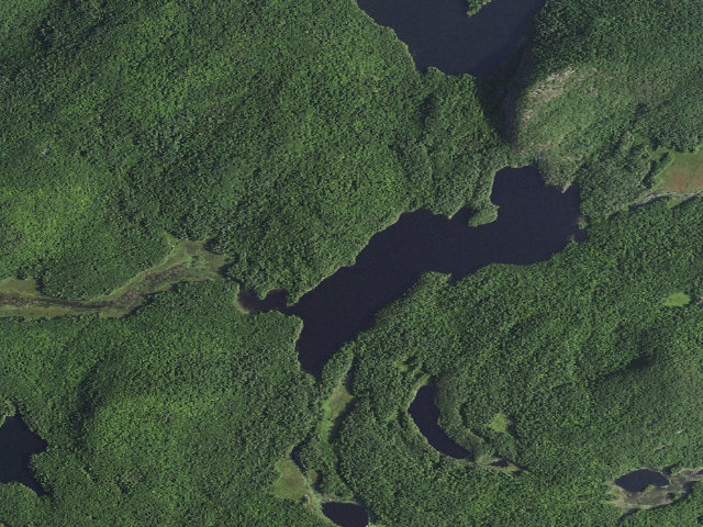 Aerial image of Crane Pond Campsite 3 (Pharaoh Lake Wilderness)